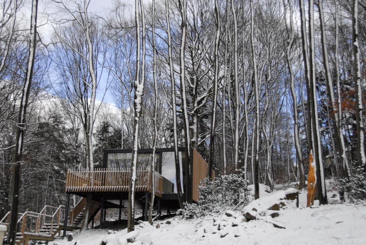 Gite des Bois de Spa Extérieur photo