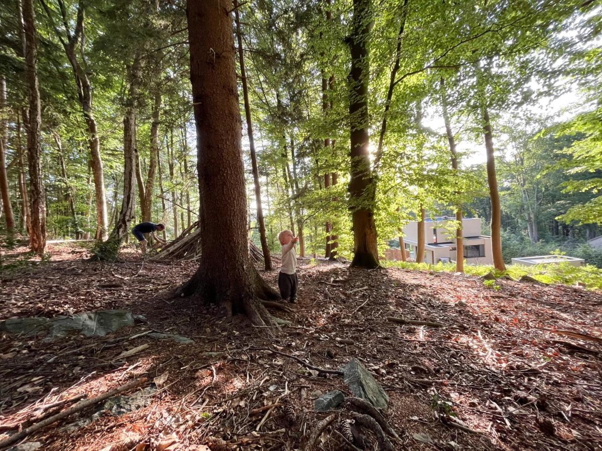 Gite des Bois de Spa Extérieur photo