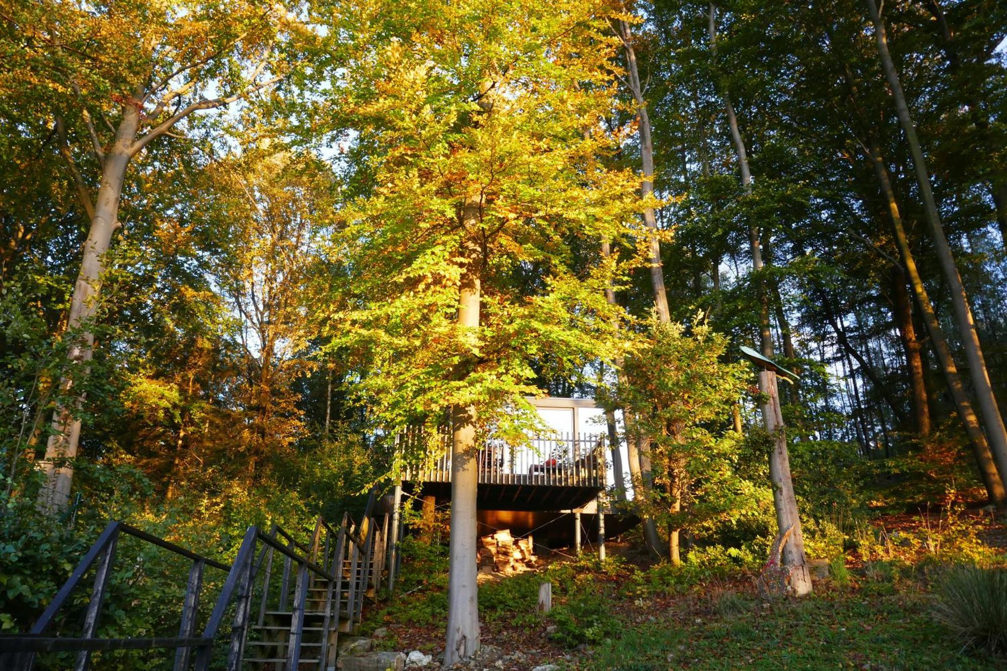 Gite des Bois de Spa Extérieur photo