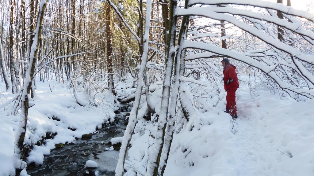 Gite des Bois de Spa Extérieur photo