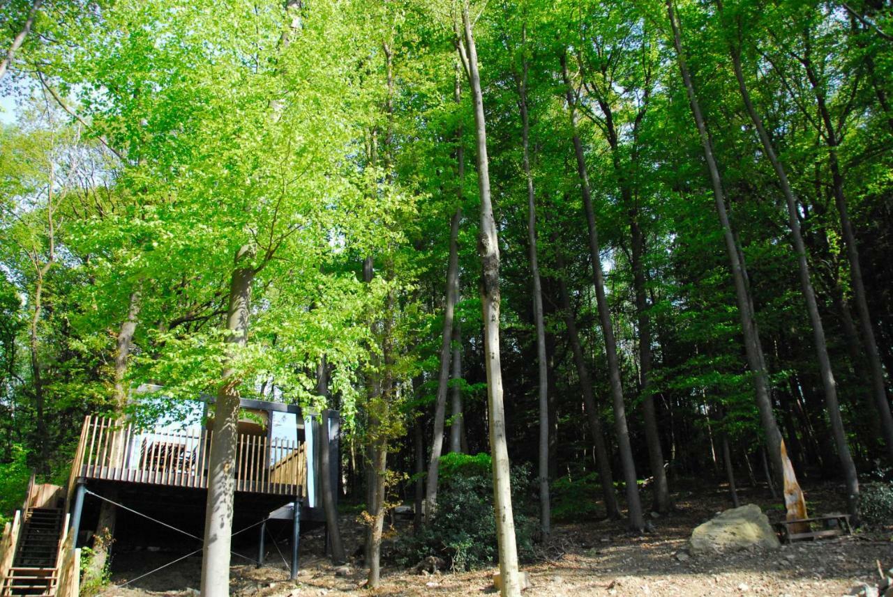 Gite des Bois de Spa Extérieur photo